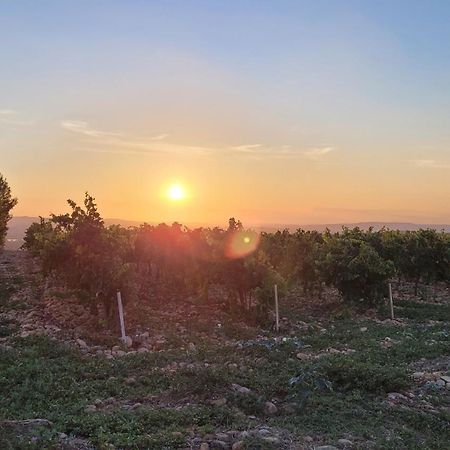 Le Willow Châteauneuf-du-Pape Esterno foto
