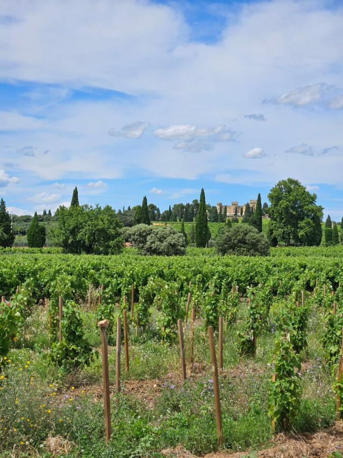 Le Willow Châteauneuf-du-Pape Esterno foto